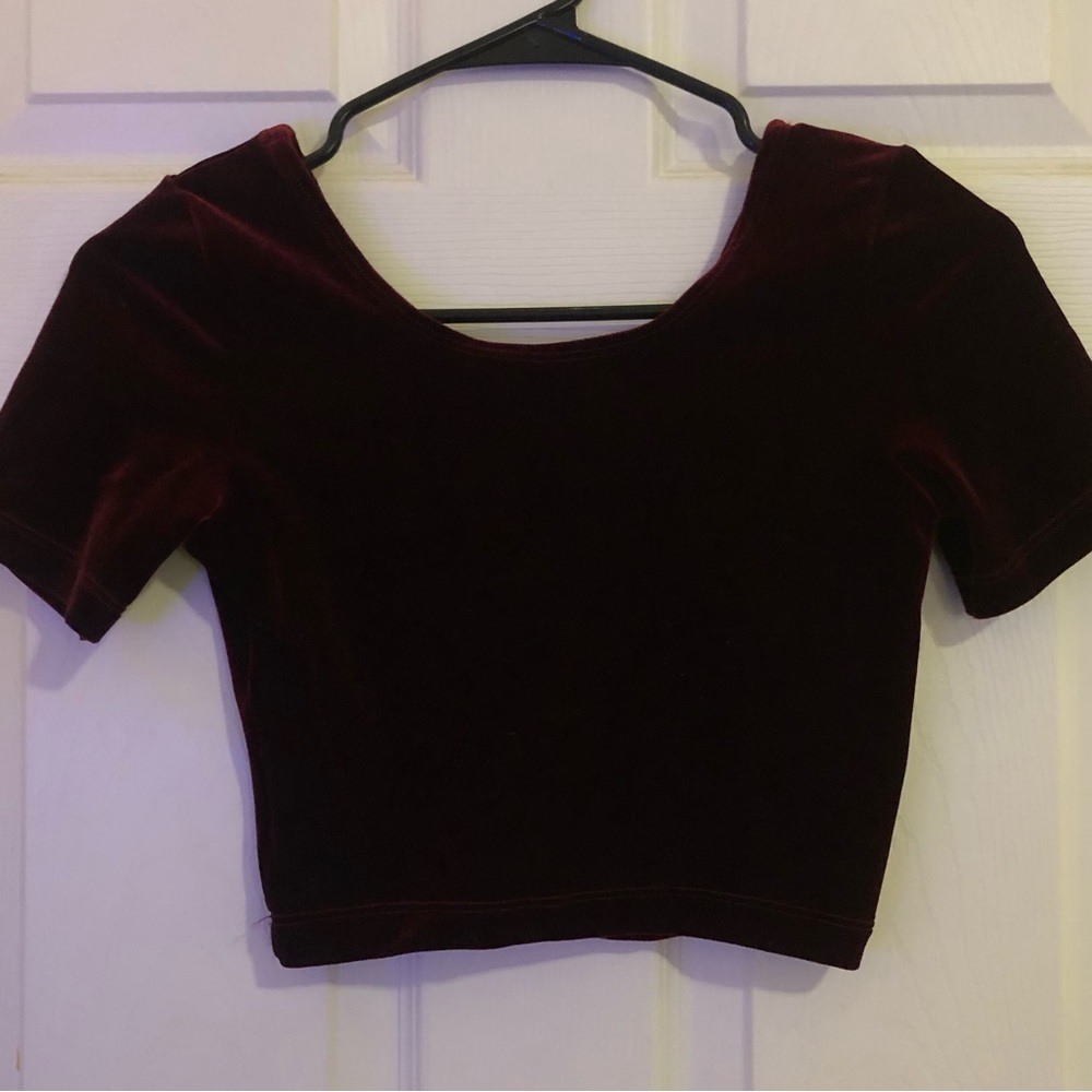 American Apparel. Velvet crop top.